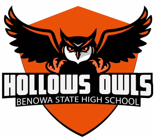 Hollows Owls logo